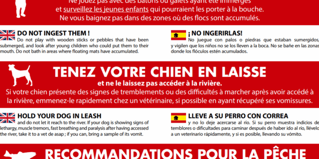 Accueil